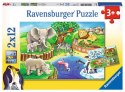 Puzzle 2x12 elementów Zwierzęta w zoo Ravensburger Polska