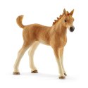 Zestaw pielęgnacyjny Quarter Horse + źrebię Schleich