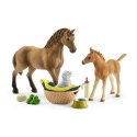 Zestaw pielęgnacyjny Quarter Horse + źrebię Schleich