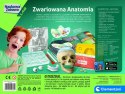 Zestaw edukacyjny Anatomia Clementoni