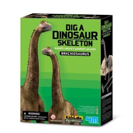 Zestaw naukowy Wykopaliska - Brachiozaur 4m