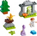 Klocki DUPLO 10938 Jurassic World Dinozaurowa szkółka 25