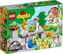 Klocki DUPLO 10938 Jurassic World Dinozaurowa szkółka 25