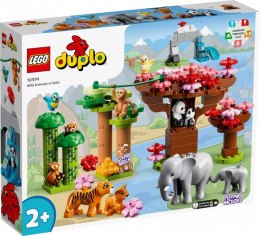 Klocki DUPLO 10974 Dzikie zwierzęta Azji 25