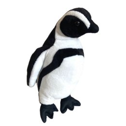 Maskotka Pingwin Humboldta 18 cm