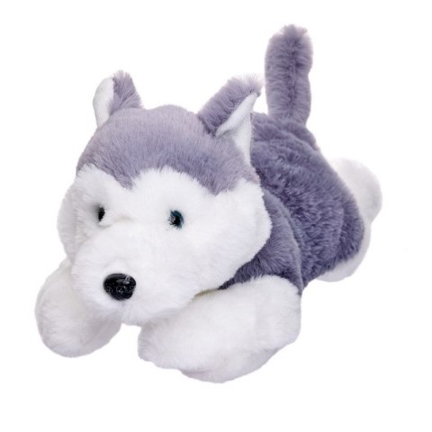 Maskotka Pies Husky leżący 35 cm