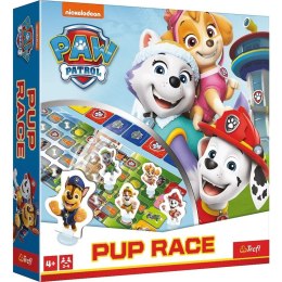 Gra Psi Patrol Wyścigi Paw Patrol