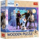 Puzzle drewniane 24 elementy Kraina Lodu