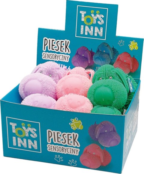 Toys Inn: Piesek Sensoryczny Mix 6 szt - Display