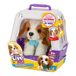 COBI: Little Live Pets - Piesek Z Transporterem