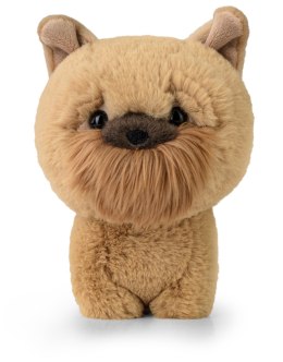 Teddy Pets - Maskotka Griffon Bruxellois